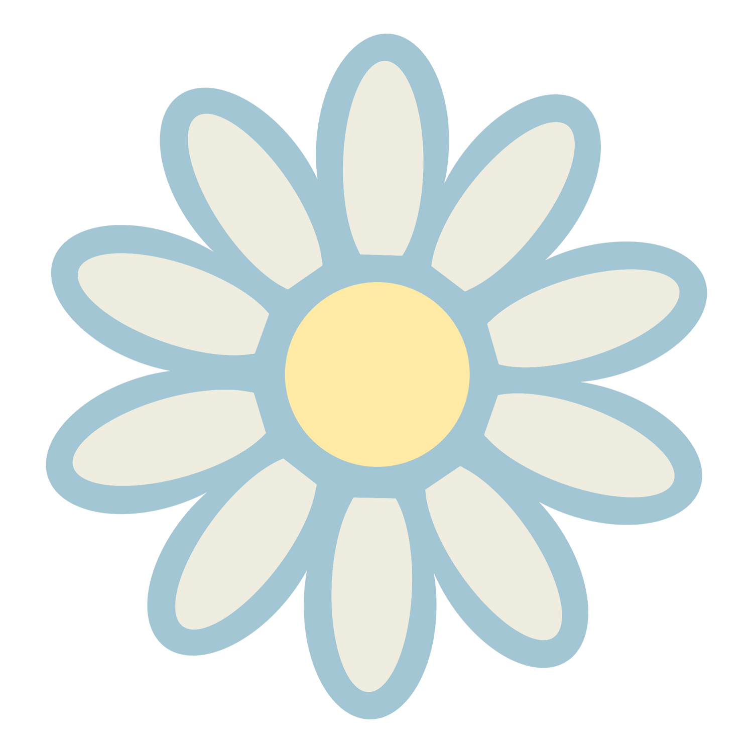 Daisy Collection