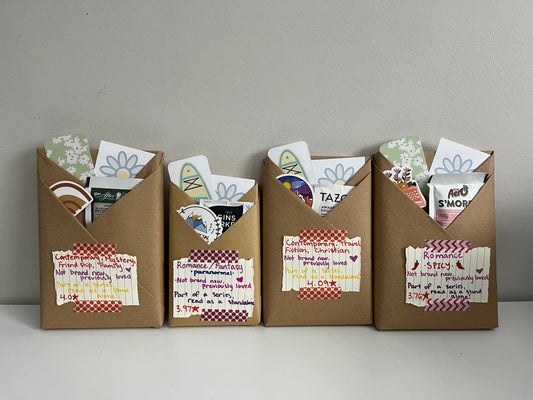 Blind book!! Previously loved & standalone