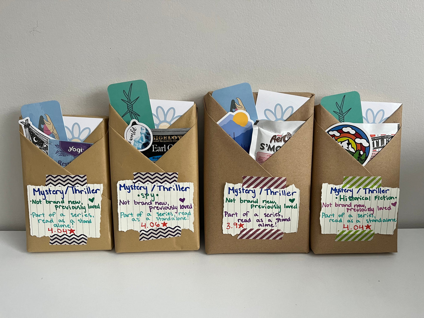 Blind book!! Previously loved & standalone